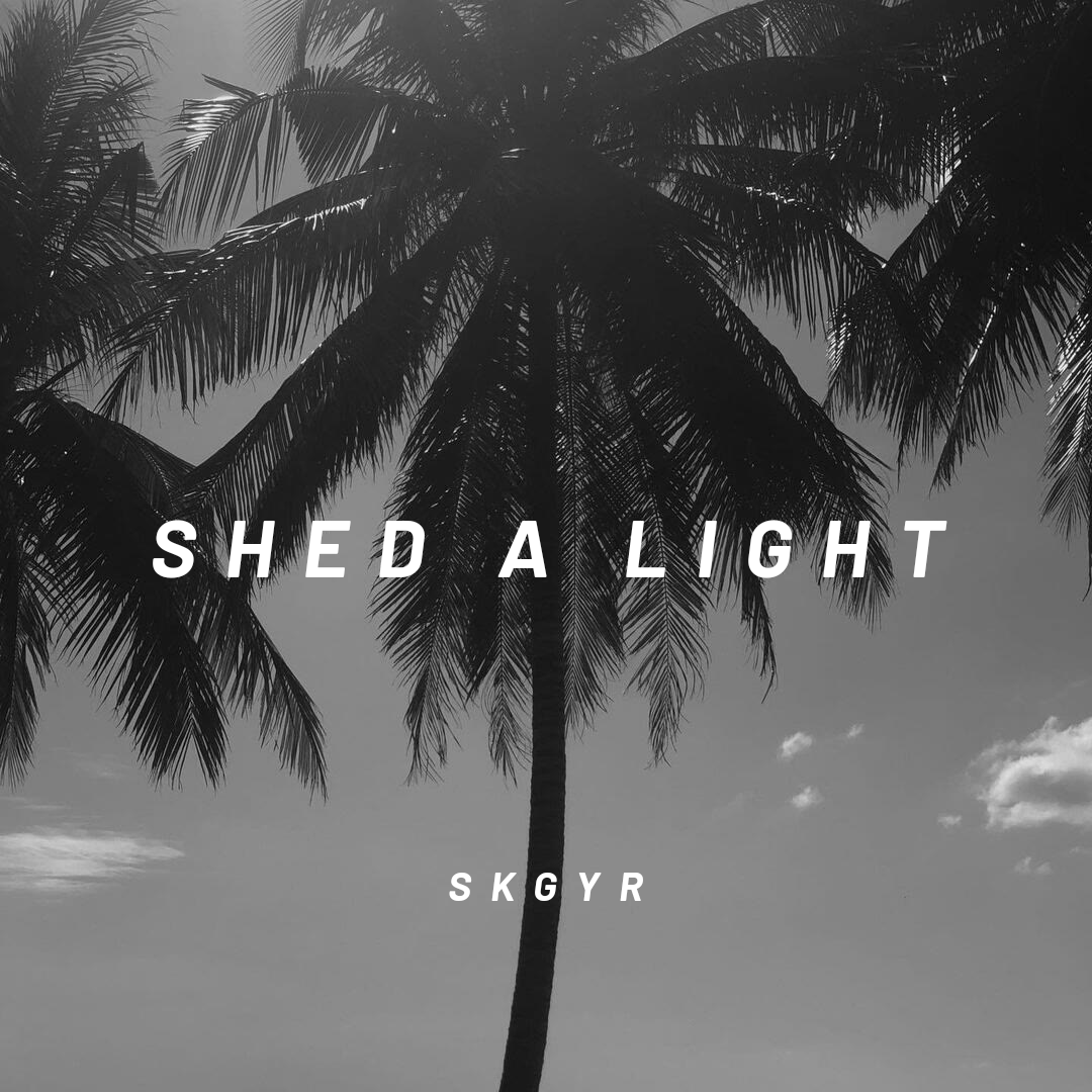 Robin Schulz-Shed a Light（zZAZz remix）