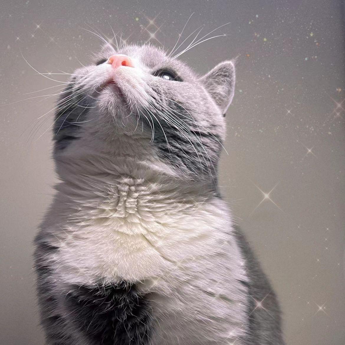 永不过时的温柔