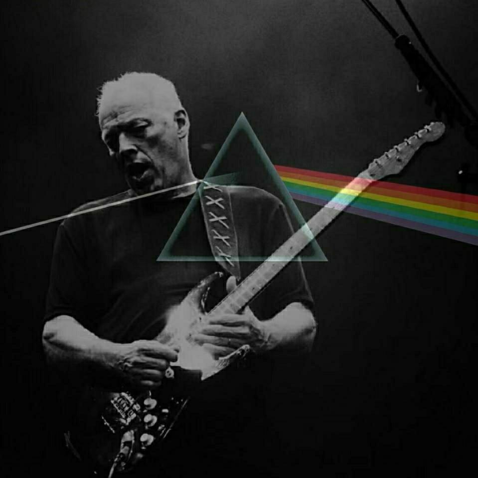 摇摆的苏丹永远喜爱PinkFloyd