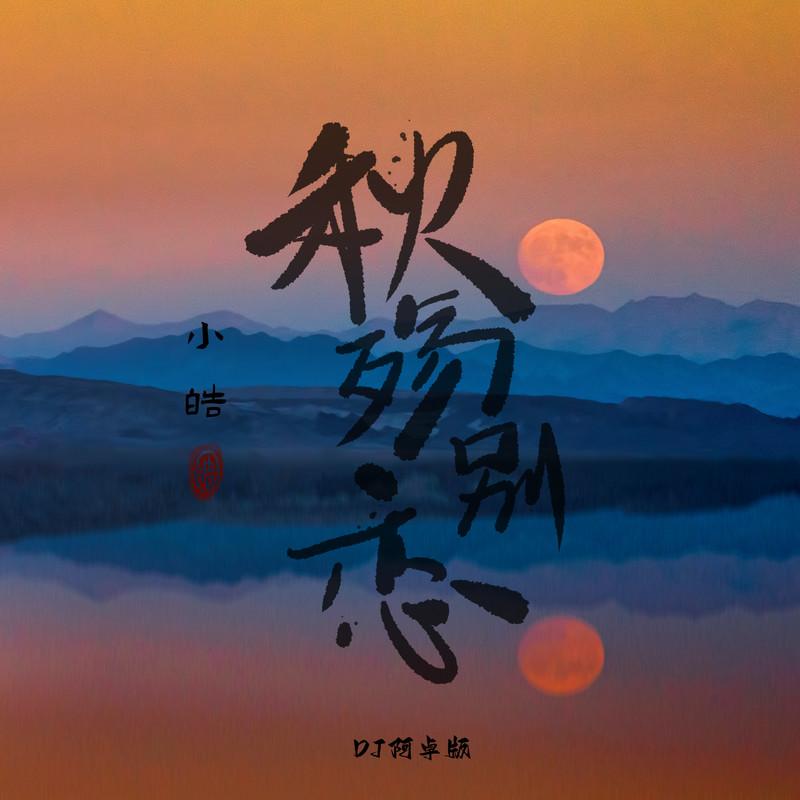 秋殇别恋 (DJ阿卓版伴奏)封面