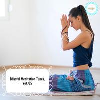 Blissful Meditation Tunes, Vol. 05