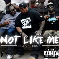 Not Like Me Remix