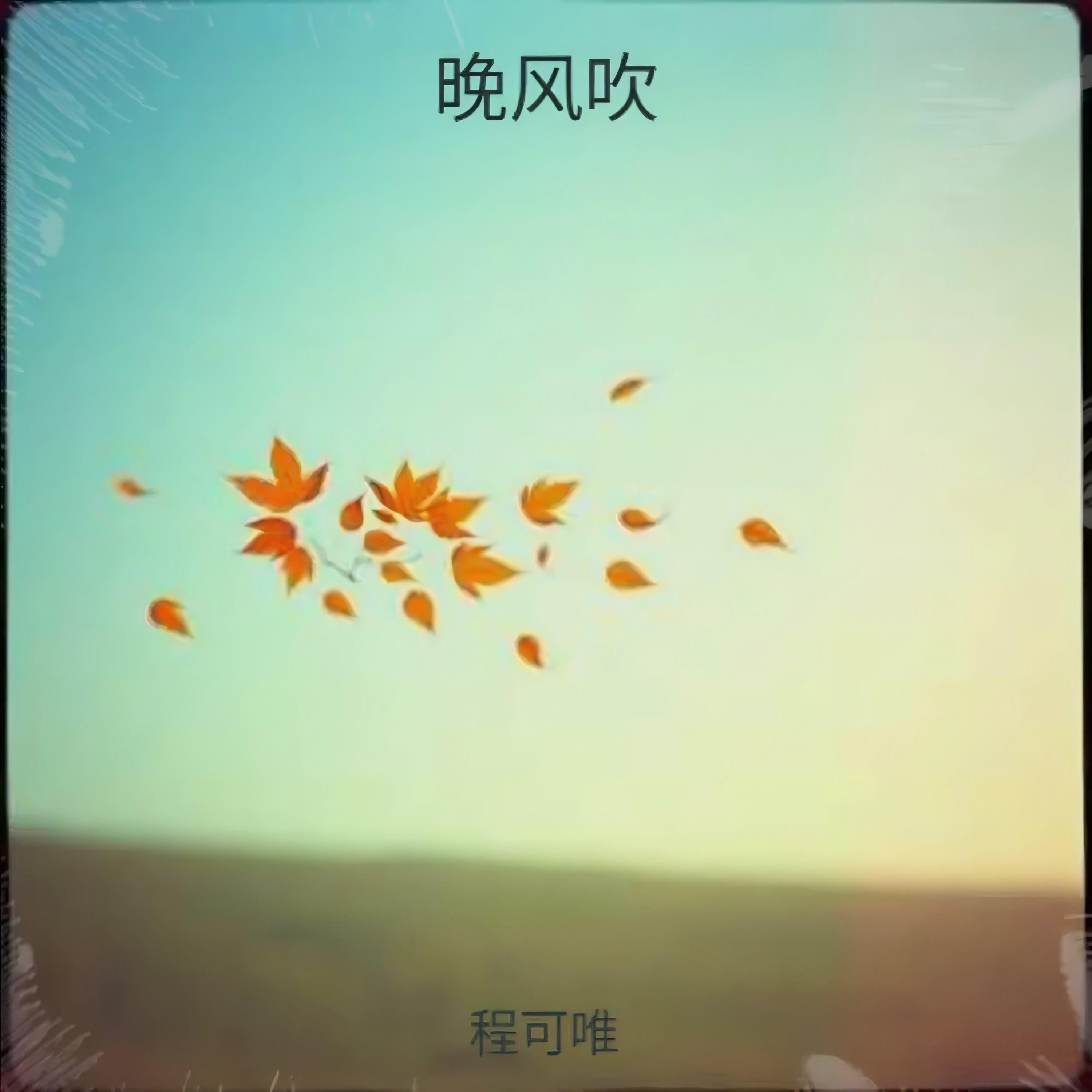晚风吹封面