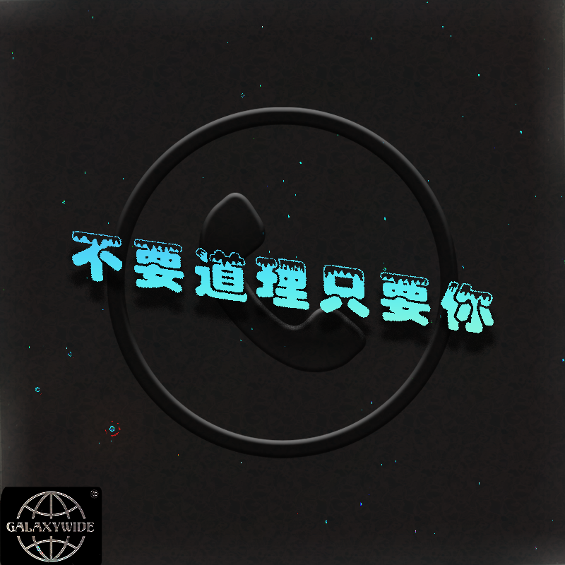 不要道理只要你封面