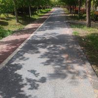 丁禹兮