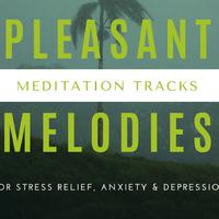 Mind Body Soul Healing and Meditation Ambient Melodies