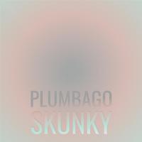 Plumbago Skunky