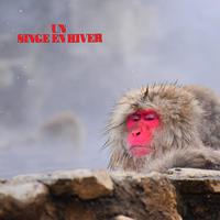 Un Singe En Hiver