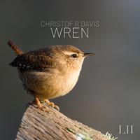 Wren