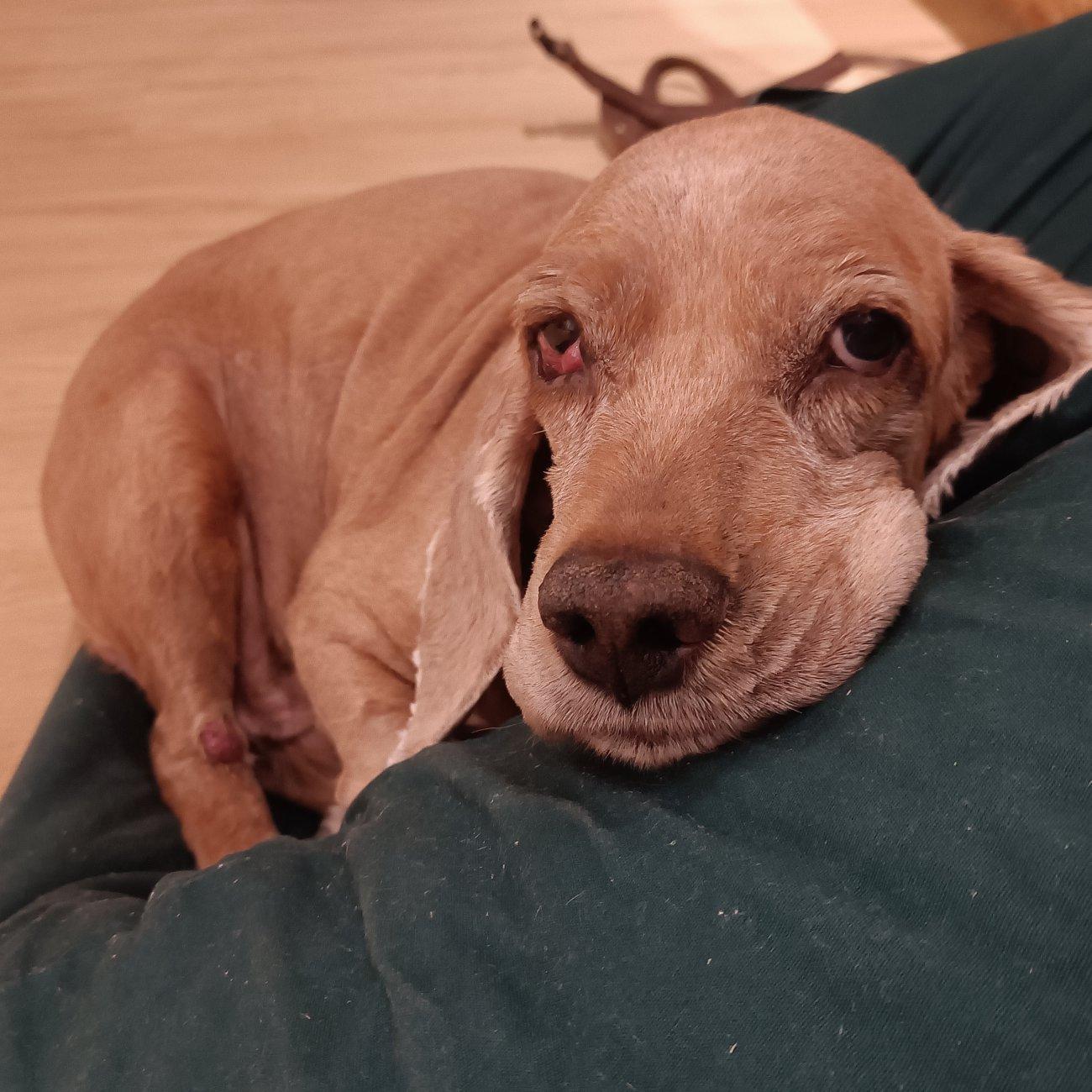 天亮说晚安_ATLB