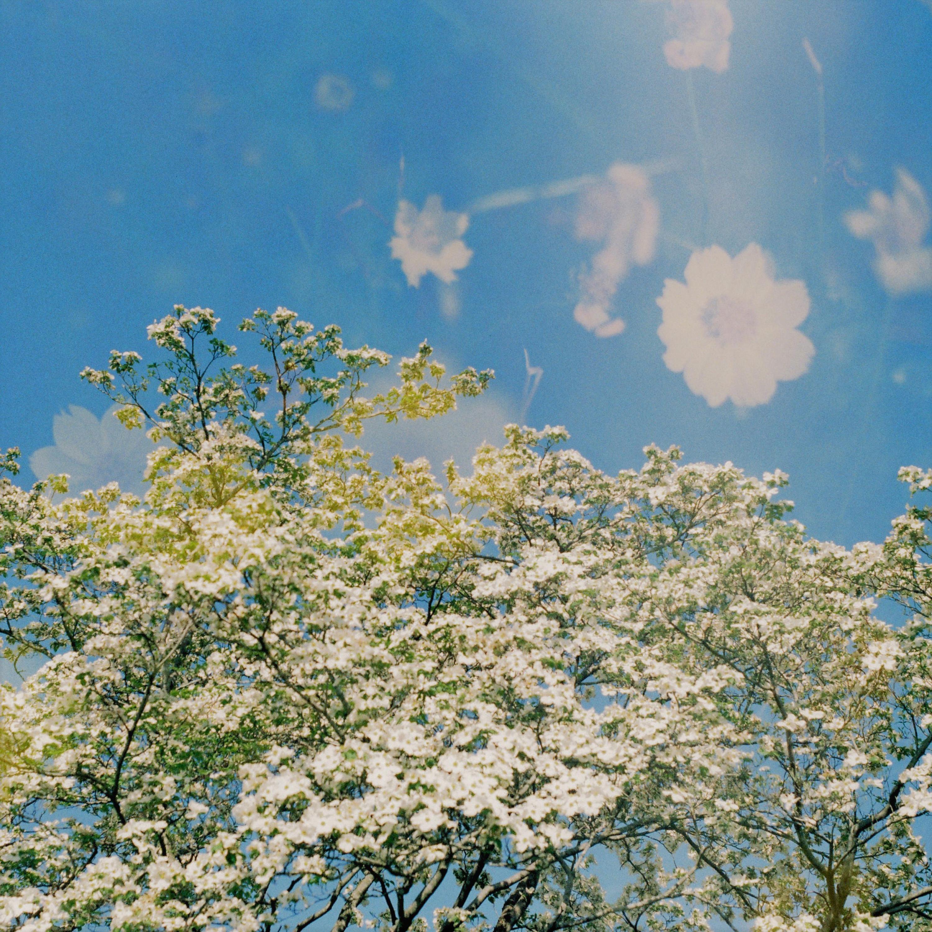 Mess (feat. Trizia Agpoon)