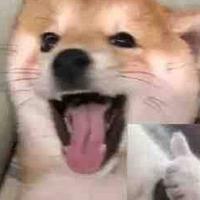 陈二狗