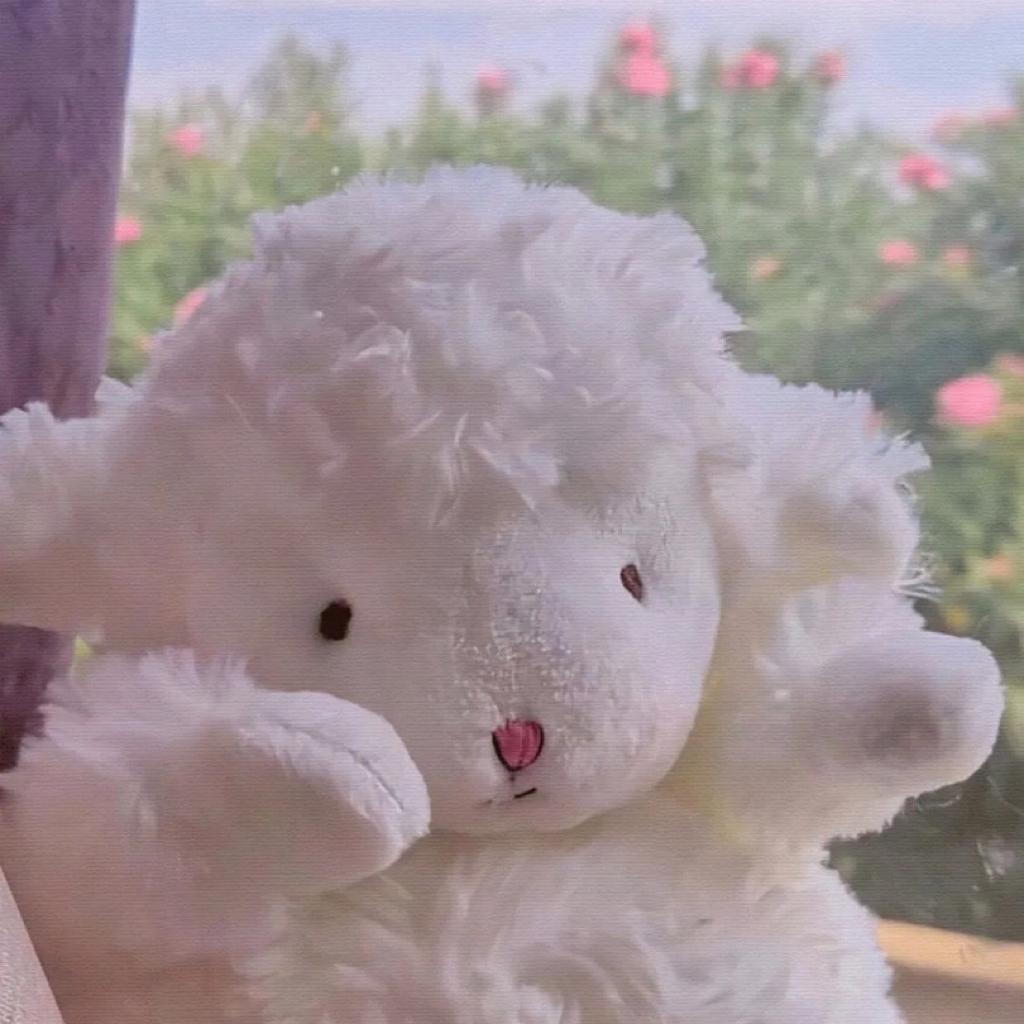 会议室生长碎拍