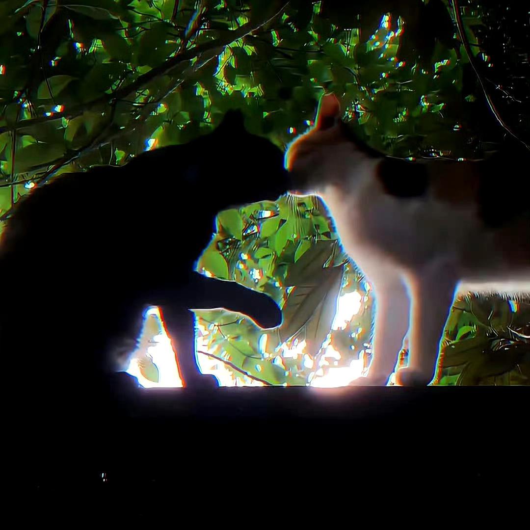 遇见（钢琴独奏版）