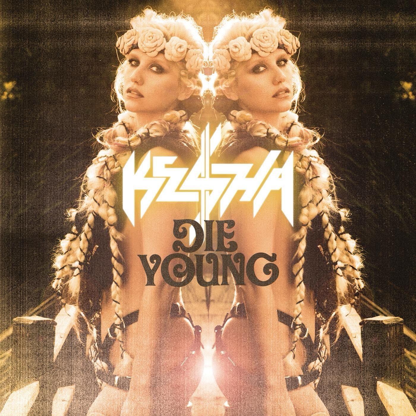 Die Young(Avicii Style Remix Demo2)封面