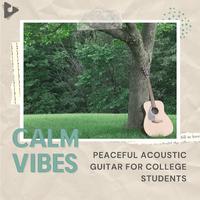 Peaceful Acoustic Guitar for College Students