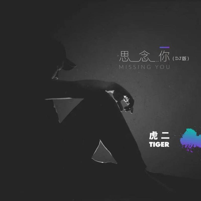 思念你 (DJ版)封面