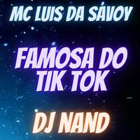 Famosa do Tik Tok