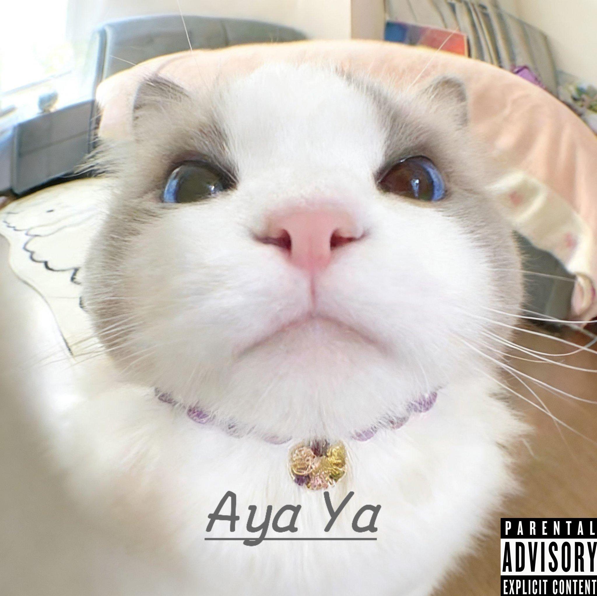 Aya Ya封面