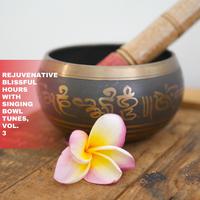 Rejuvenative Blissful Hours with Singing Bowl Tunes, Vol. 3