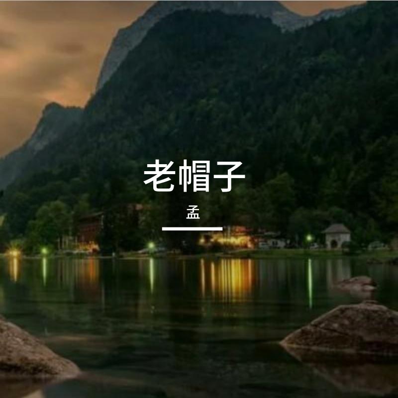 跨越的阶梯封面