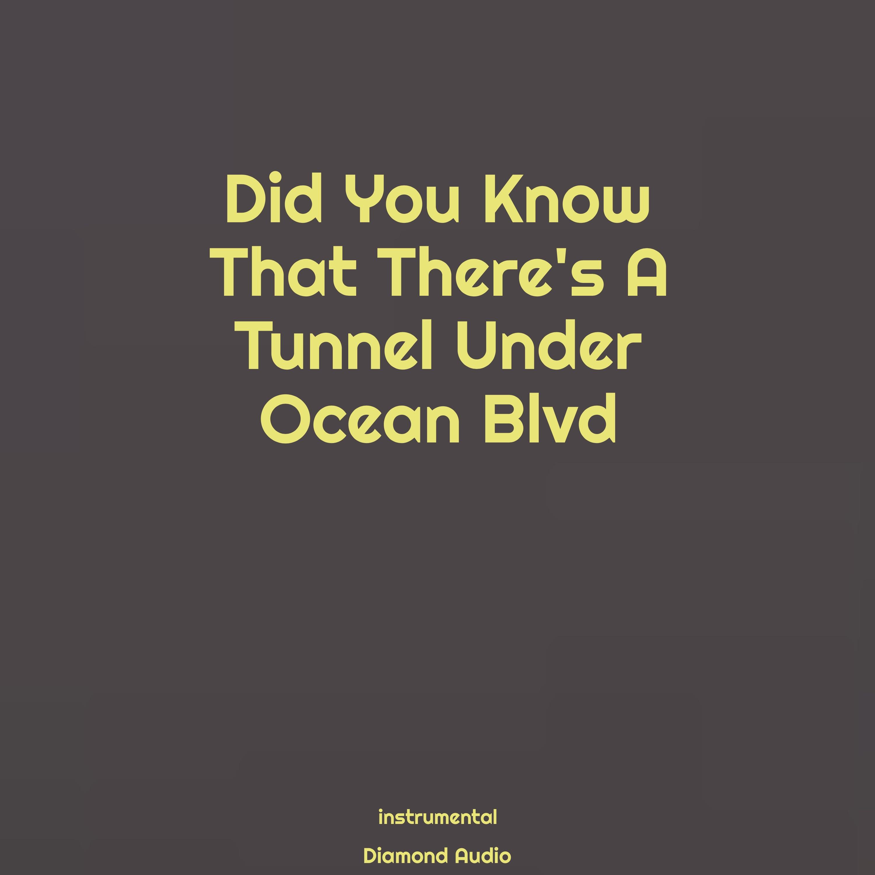 Did You Know That There's a Tunnel Under Ocean Blvd (Instrumental)