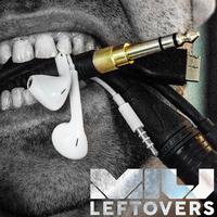 Leftovers