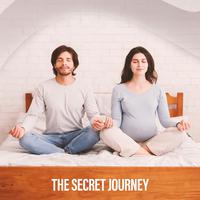 The Secret Journey (Calming Moonlight, Soothing Bedtime Relief for Parents)