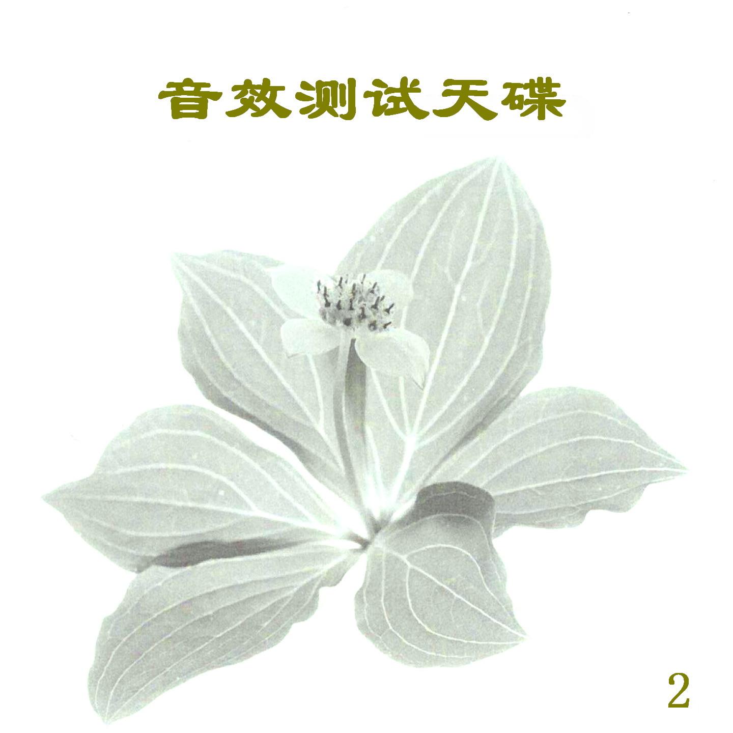 渡口封面