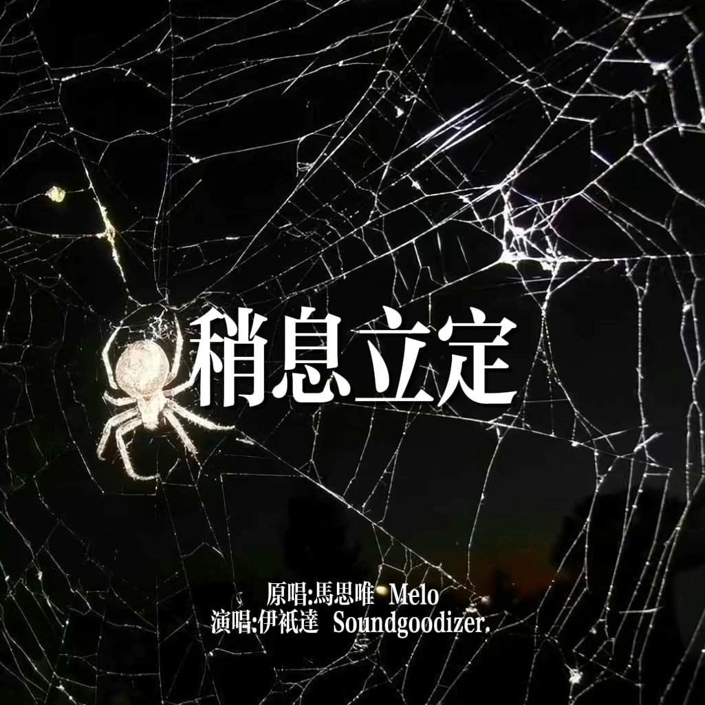 稍息立正封面