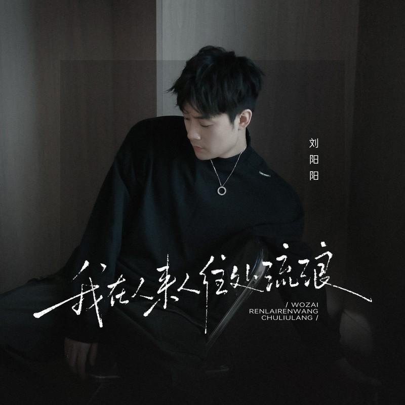 我在人来人往处流浪(DJ版)封面