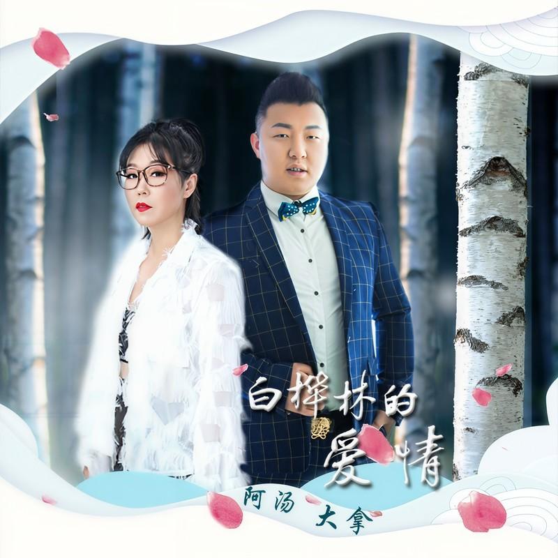 白桦林的爱情 (伴奏)封面