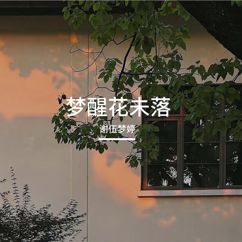 飞花入梦时封面
