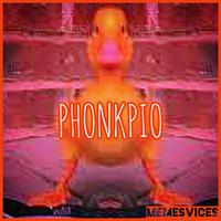 PHONKPIO