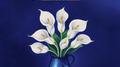 Flowers专辑