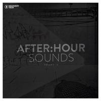 After:Hour Sounds, Vol. 13