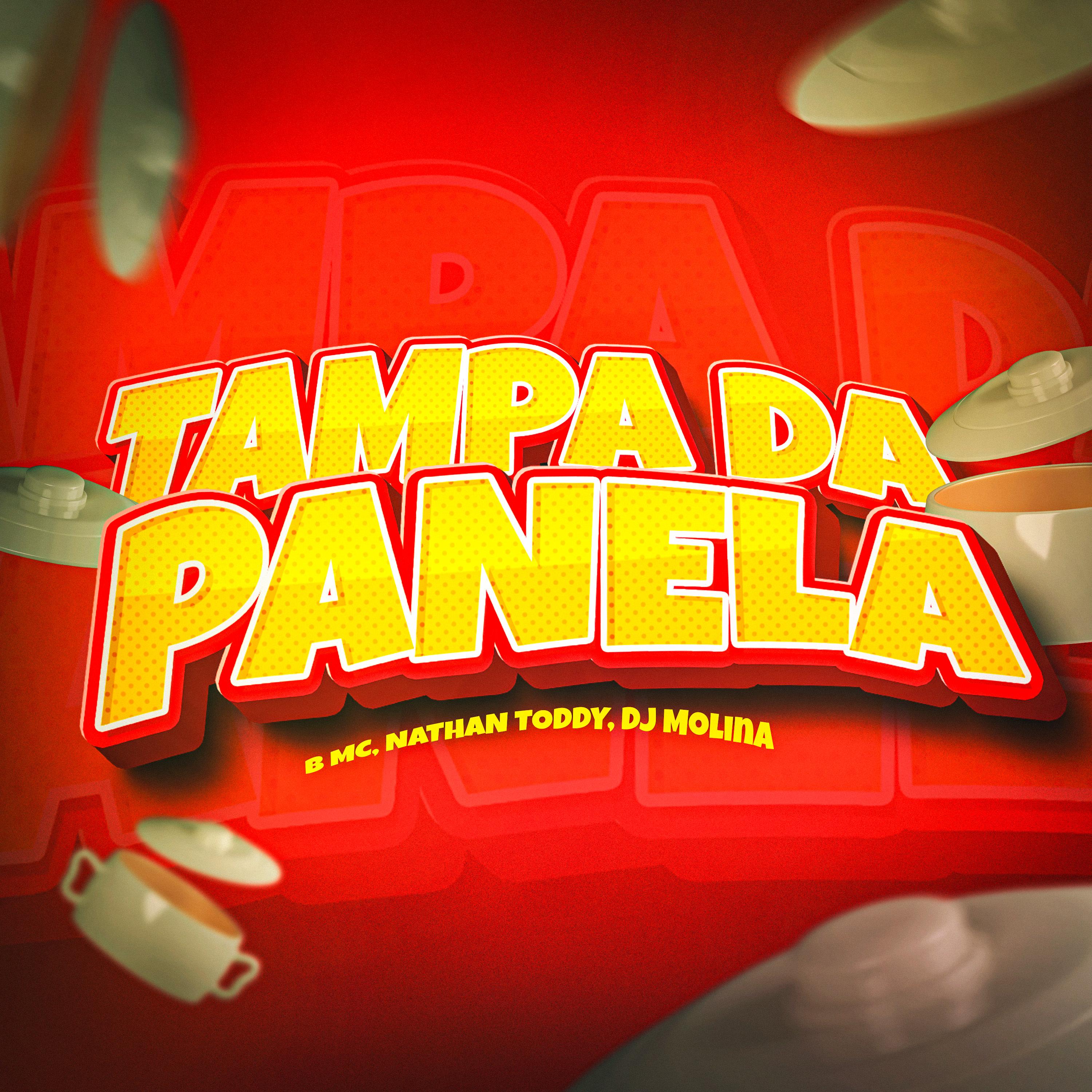 Tampa da Panela