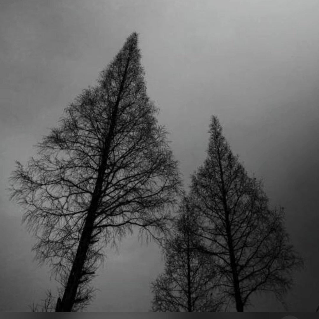 green to blue （白噪声版）（忆 remix）