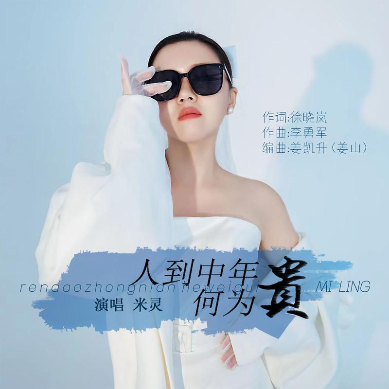 人到中年何为贵 (DJ默涵版)封面