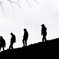 The Walking Who