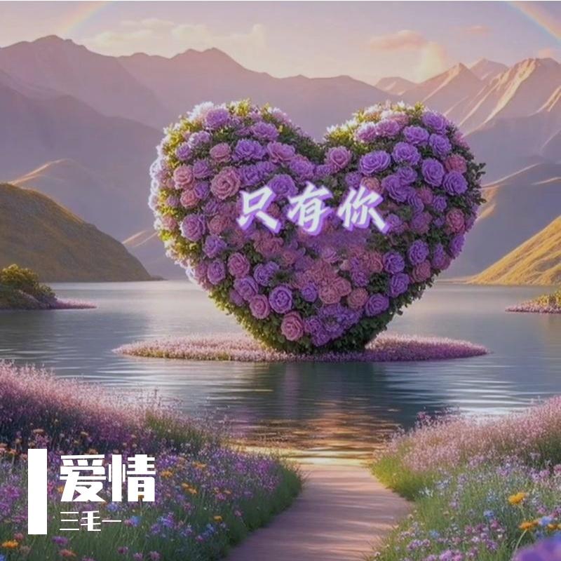 风无倦期封面