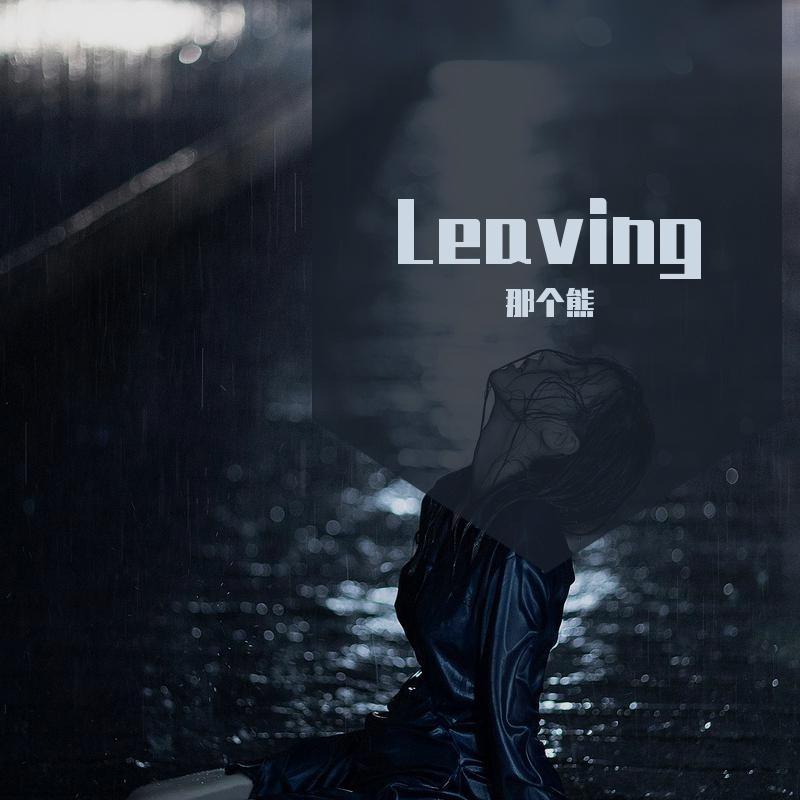 Leaving（纯音乐）封面