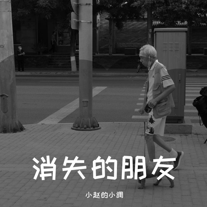 消失的朋友封面