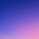 杨搏