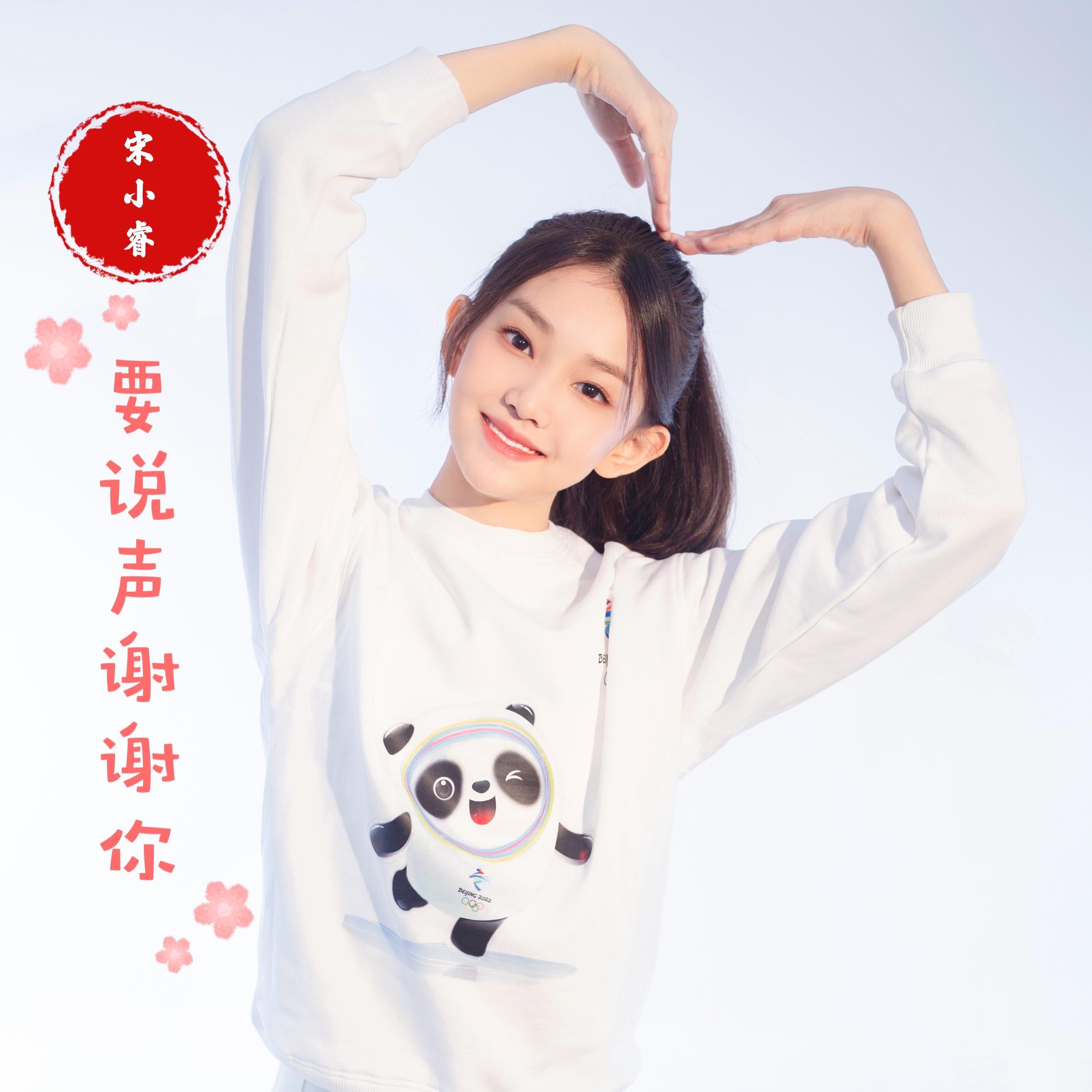 要说声谢谢你mix2.27（2）封面