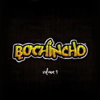 Bochincho, Vol. 9 (Ao Vivo)