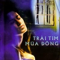 Trái tim mùa đông (ASIA DVD KARAOKE 14)