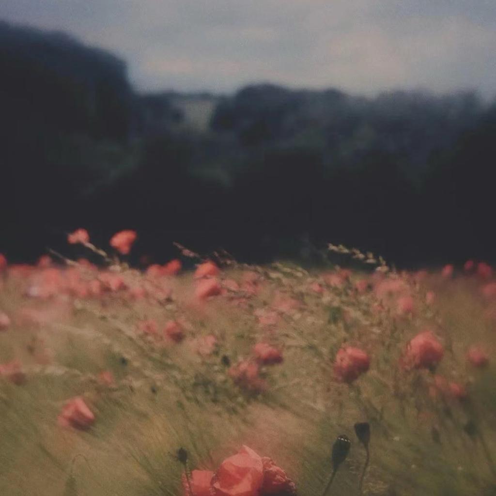 蓝调•爵士 | 舒缓中透露着自由慵懒的舒适