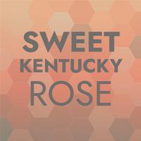 Sweet Kentucky Rose