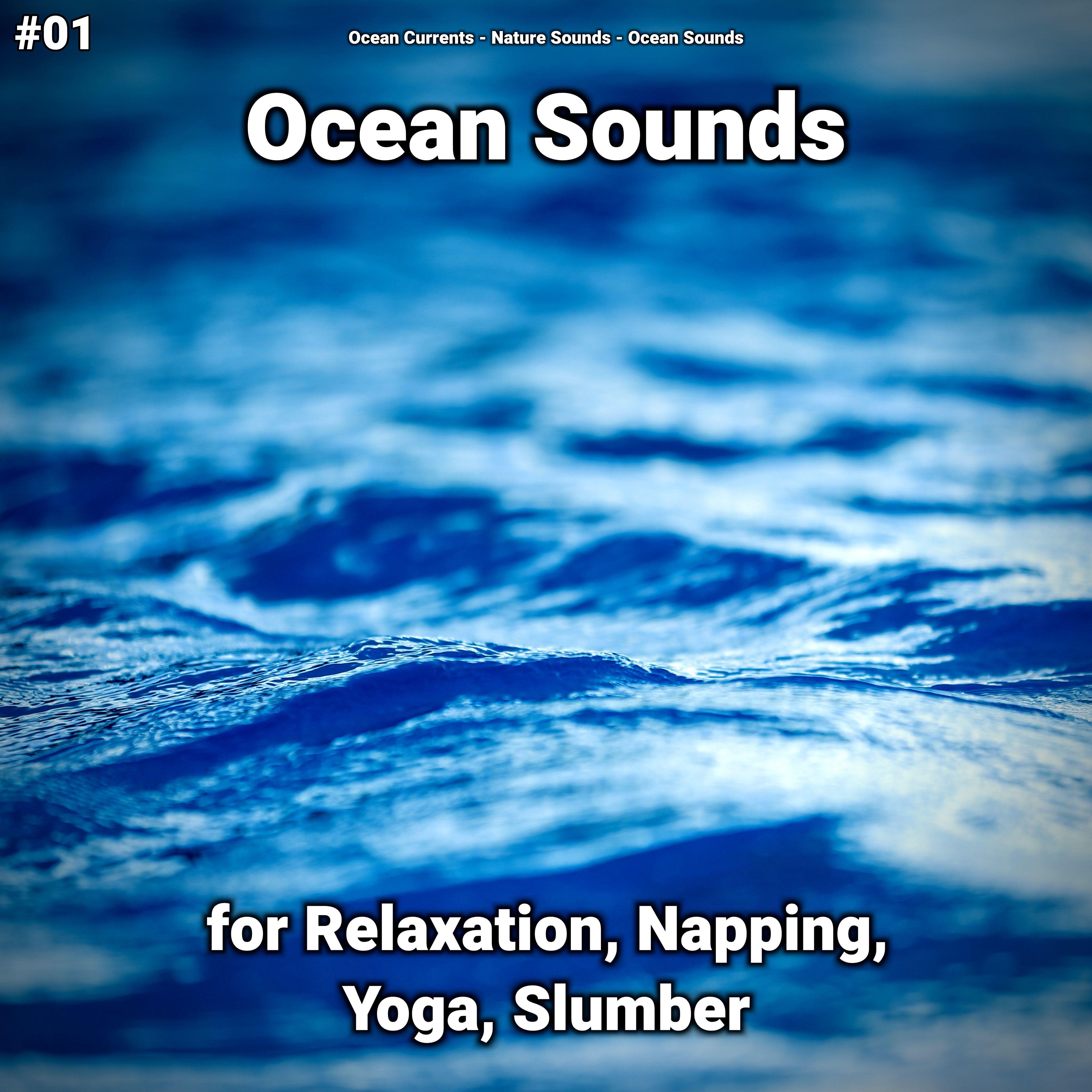 Ocean Sounds Pt. 69